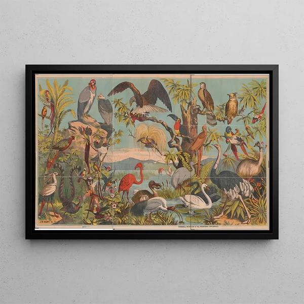JW Hart - Birds of paradise.webp