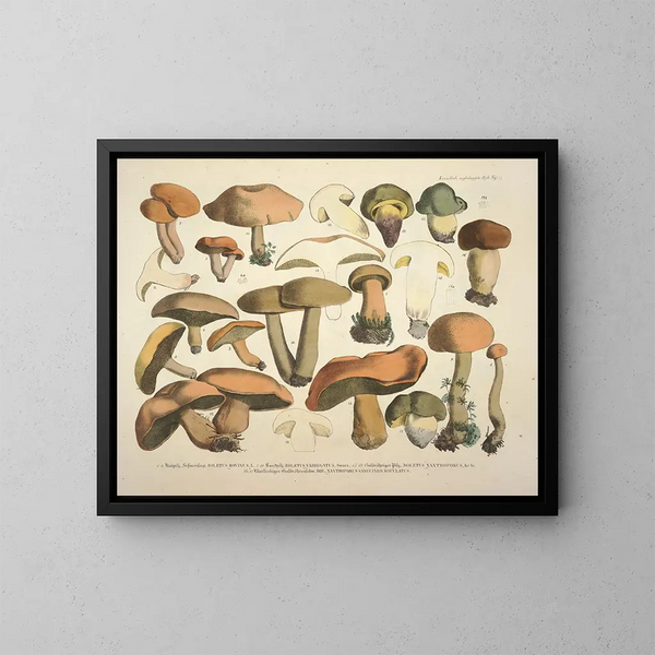 realistische Darstellungen und Beschreibungen essbarer, schädlicher und verdächtiger Pilze Pl75 - J V Krombholz | Gemälde — gerahmtes Bild an der Wand