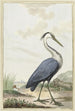 Heron grau - Jabes Heenck — Ansicht des Kunstwerks