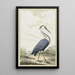 Heron grau - Jabes Heenck — gerahmtes Bild an der Wand