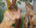 Tobias und eine Harpyie - Jacek Malczewski — Ansicht des Kunstwerks