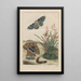 L exakte Beobachtungen vieler kleiner metamorphosierter Tiere Gemälde Pl25 - Jacob L'Admiral — gerahmtes Bild an der Wand