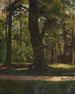 Abholzung im Tiergarten Berlin - Jacob Nöbbe — Ansicht des Kunstwerks