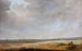 Landschaft mit Maisfeldern - Jacob Salomonsz van Ruysdael — Ansicht des Kunstwerks
