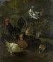 Ein Hahn, Hühner, Tauben und eine Murmeltier - Jacomo Victors — Ansicht des Kunstwerks