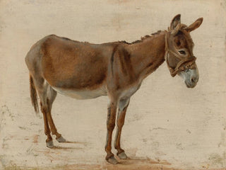Ein Esel - Jacques-Laurent Agasse — Ansicht des Kunstwerks