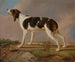 Ein Jagdhund - Jacques-Laurent Agasse — Ansicht des Kunstwerks