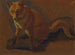 Studie eines Fuchses - Jacques-Laurent Agasse — Ansicht des Kunstwerks