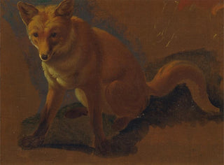 Studie eines Fuchses - Jacques-Laurent Agasse — Ansicht des Kunstwerks