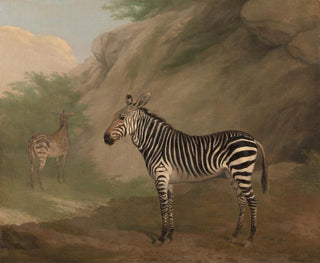 Zèbre - Jacques-Laurent Agasse — Ansicht des Kunstwerks