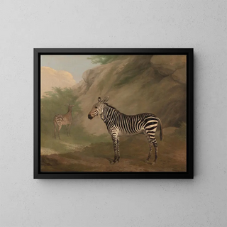 Zèbre - Jacques-Laurent Agasse — gerahmtes Bild an der Wand