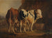 Stier mit weißer und schwarzer Fellzeichnung und Kuh mit brauner Fellzeichnung - Jacques-Raymond Brascassat — Ansicht des Kunstwerks