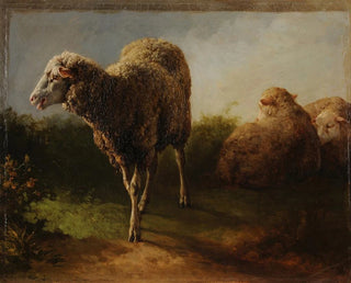 Drei Schafe - Jacques-Raymond Brascassat — Ansicht des Kunstwerks