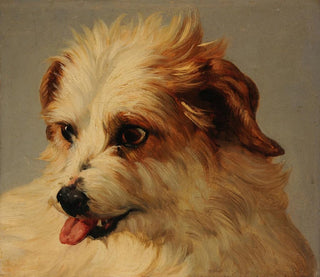 JacquesRaymond Brascassat - Tte de chien blanc tirant la langue.webp