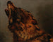 Kopf des Wolfes - Jacques-Raymond Brascassat — Ansicht des Kunstwerks