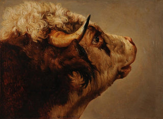 Kopf einer Kuh - Jacques-Raymond Brascassat — Ansicht des Kunstwerks