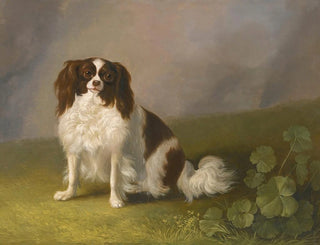 Jakob Philipp Hackert - Portrait Of A King Charles Spaniel In A Landscape.webp