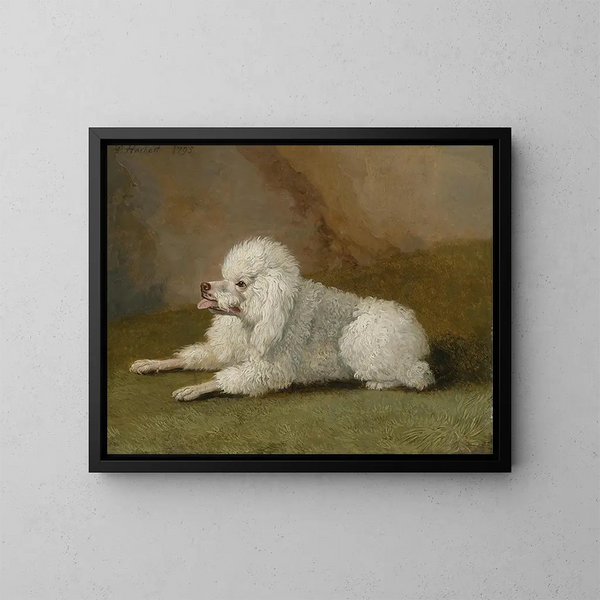 Portrait eines Pudel - Jakob Philipp Hackert — gerahmtes Bild an der Wand