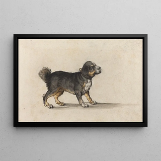 Jakob Walther - A Mastiff with a GoldTooled Collar.webp
