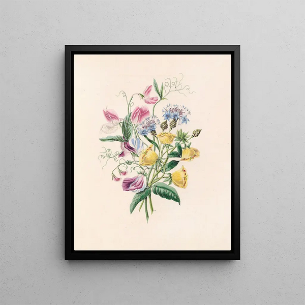James Ackerman - Sweet Pea Bluebottle Centaury And Evening Primrose.webp