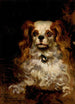 Der Herzog von Marlborough, Porträt eines Welpen - James Carroll Beckwith — Ansicht des Kunstwerks