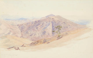 James Crowe Richmond - From Maitai saddle Dun Mountain looking South up Waimea.webp