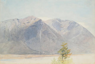 James Crowe Richmond - From the accommodation house Bealey.webp