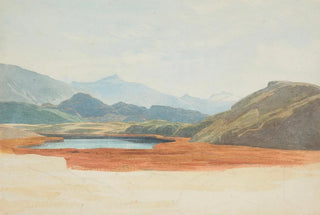 James Crowe Richmond - Lagoon flowering Bulrushes Wanaka.webp