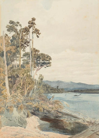 James Crowe Richmond - On the North East bank of the Buller.webp