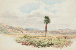 James Crowe Richmond - Valley of the Mason Highfield Rim Amuri Nelson.webp