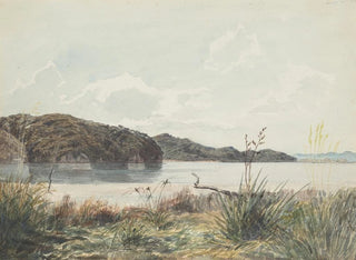 James Crowe Richmond - West Wanganui looking North East.webp