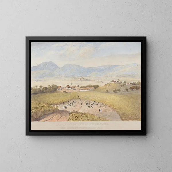 Domaine de Llanrumny, Sainte-Marie, Jamaika - James Hakewill — gerahmtes Bild an der Wand