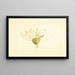 Prunus domestica Burbank - James Marion Shull — gerahmtes Bild an der Wand