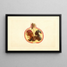 Punica granatum Alternaria - James Marion Shull — gerahmtes Bild an der Wand