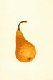 Pyrus communis Bosc - James Marion Shull — Ansicht des Kunstwerks