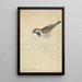 Ein Hausspatz - James Sowerby — gerahmtes Bild an der Wand