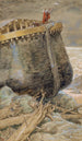 Die Taube kehrt zu Noah zurück - James Tissot — Ansicht des Kunstwerks