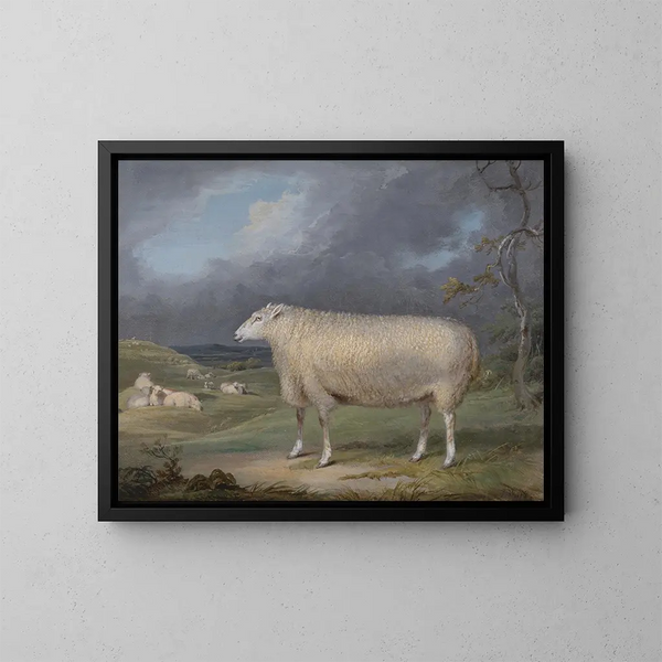 Eine Border Leicester Schafherde - James Ward — gerahmtes Bild an der Wand