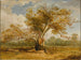 Ein Eichenbaum im Richmond-Park mit einer Hirschherde an seiner Seite - James Ward — Ansicht des Kunstwerks