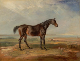 Ein brauner Rennpferd am Meer mit einer Mündung im Hintergrund - James Ward — Ansicht des Kunstwerks