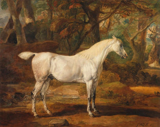 eines grauen arabischen Hengsts, das Sir Watkin Williams-Wynn gehört - James Ward — Ansicht des Kunstwerks