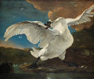 Der bedrohte Schwan - Jan Asselijn — Ansicht des Kunstwerks