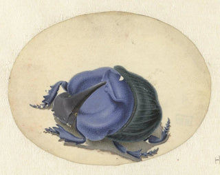Scarabée bleu - Jan Augustin van der Goes — Ansicht des Kunstwerks