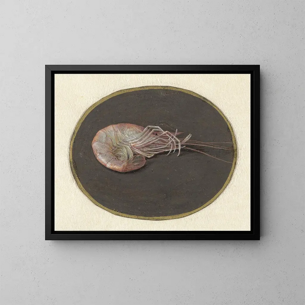 Krevette - Jan Augustin van der Goes — gerahmtes Bild an der Wand