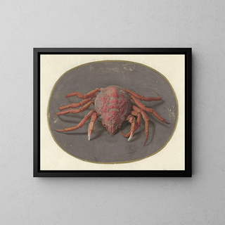 Jan Augustin van der Goes - Krab.webp