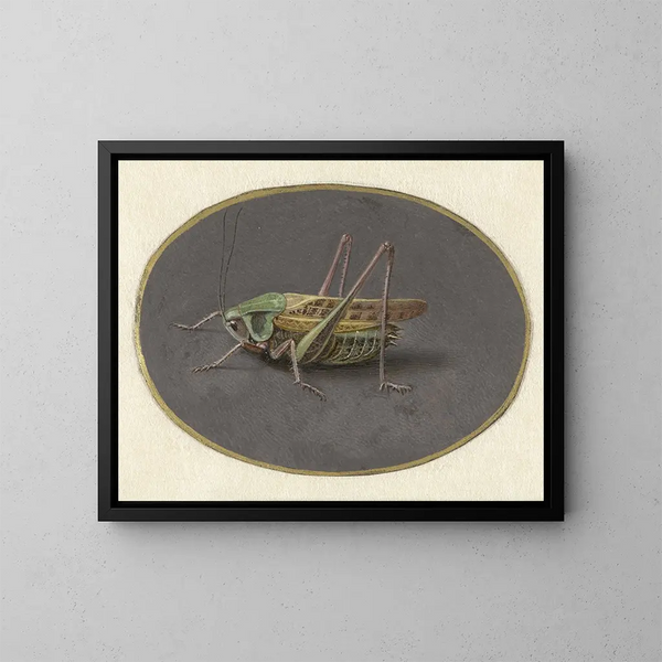 Sauterelle - Jan Augustin van der Goes — gerahmtes Bild an der Wand