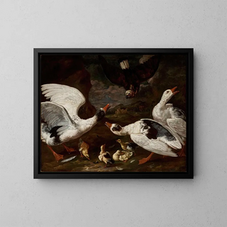 Falken und Gänse - Jan Baptist Bouttats — gerahmtes Bild an der Wand
