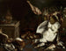 Naturmorte mit Pilzen - Jan Baptist Bouttats — Ansicht des Kunstwerks