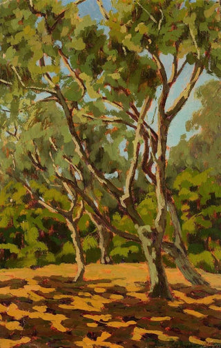 Jan Bohuszewicz - Olives and sunny glade.webp