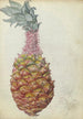 Ananas - Jan Brandes — Ansicht des Kunstwerks